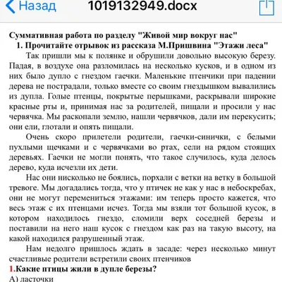 Прочитайте и ответьте почему рассказ называется этажи леса(3-4предлодения)СРОЧНА  50баллов - Школьные Знания.com