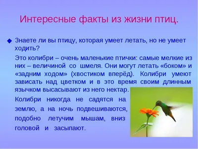 Это интересно знать - Детский бронхолегочный санаторий № 68 ДЗМ