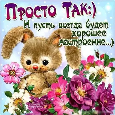 Котоматрица: Это тебе ПРОСТО так... От меня:))) От меня:)))