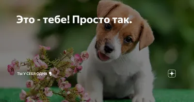 💗 Открытка для Тебя, картинка Тебе, просто так, от всей души, для Тебя!  Радуга, мишка, цветочки! | открытки для девочек | открытка, картинка 123ot