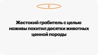 Это точно панелька в Каменной Горке? Обнаружена интересная квартира в  Минске — последние Новости на Realt