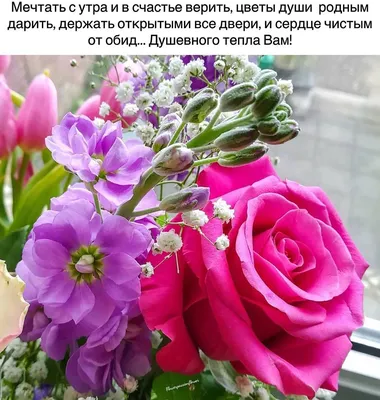 Королева цветов - Роза 🌹🌹🌹🌹🌹🌹🌹🌹🌹она безусловно заслуживает это  звание 🔥🔥🔥🔥🔥🔥🔥🔥🔥🔥 С БОЛШОЙ ЛЮБОВЬЮ К ВАМ ВЕСЬ МИР ЦВЕТОВ И  МЕГАФЛОРА… | Instagram