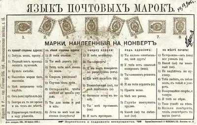 Тест: Действительно ли ты знаешь русский язык? - Новости Тулы и области -  