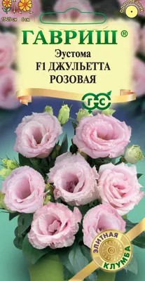 Цветочная лавка - Эустома (Лизиантус) оттенок белый - 369 руб. - Экзотика -  Пермь