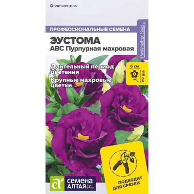 Эустома и розы Новосибирск №230 - 🌹 Цветы Новосибирск заказ: