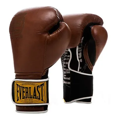 Leather Everlast Boxing Gloves  | S16 Home