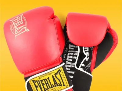 Everlast Elite 2 Boxing Gloves 14 oz. | Big 5 Sporting Goods