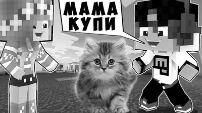 ЕВГЕНБРО ЖЕНИЛСЯ С ДЕВУШКОЙ В МАЙНКРАФТЕ! СЕРИАЛ В MINECRAFT - YouTube