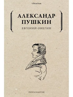 Евгений Онегин. С иллюстрациями Андрея Л. Костина - купить с доставкой по  выгодным ценам в интернет-магазине OZON (783583050)