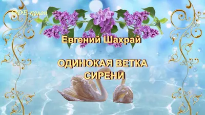 Книга "Как я написал Конституцию эпохи Ельцина и Путина". Автор Сергей  Михайлович Шахрай. Издательство Синдбад 978-5-00131-385-4