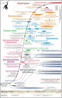 эволюция человека от обезьяны до бизнесмена и робота Иллюстрация вектора -  иллюстрации насчитывающей иллюстрация, передне: 225747928