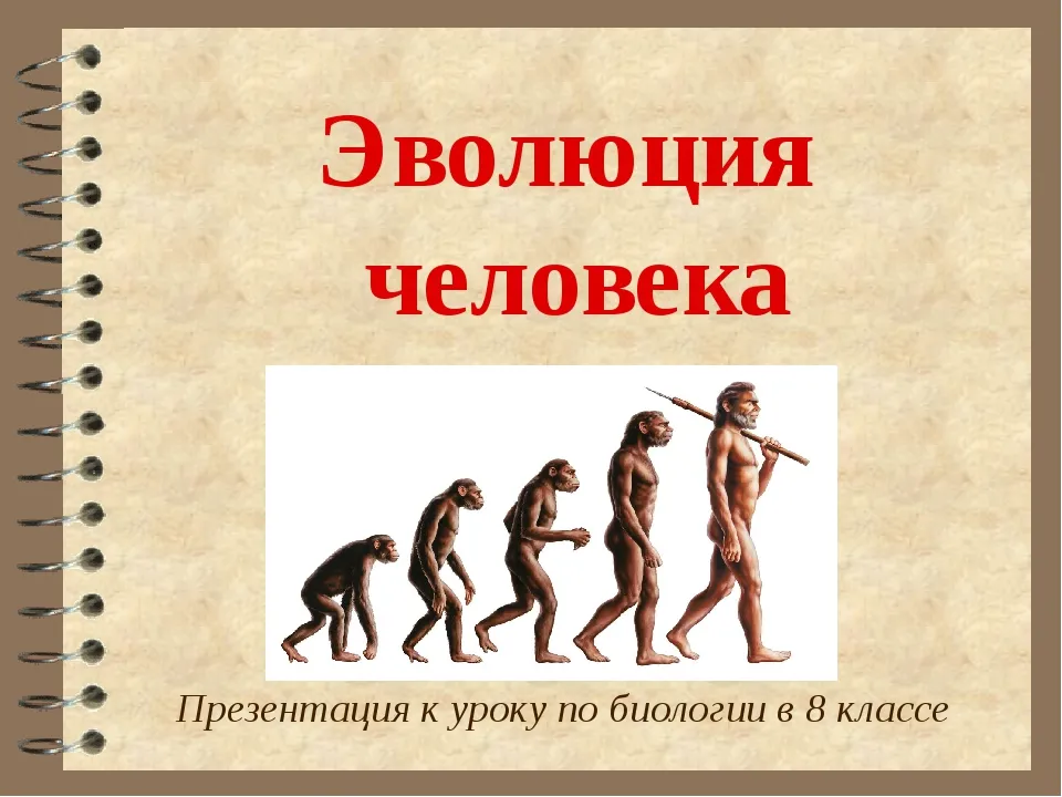 Презентация этапы эволюции человека 9 класс пономарева