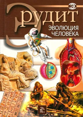 Эволюция человека - системная интерпретация – тема научной статьи по  психологическим наукам читайте бесплатно текст научно-исследовательской  работы в электронной библиотеке КиберЛенинка