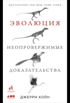 13.5.3. Основные этапы прогрессивной эволюции многоклеточных животных