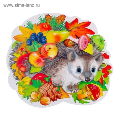 Картина по номерам Ежик осенью, 40x50 см. ВанГогВоМне — купить в  интернет-магазине по низкой цене на Яндекс Маркете