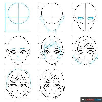 Cartoon Face Drawing - How To Draw A Cartoon Face Step By Step