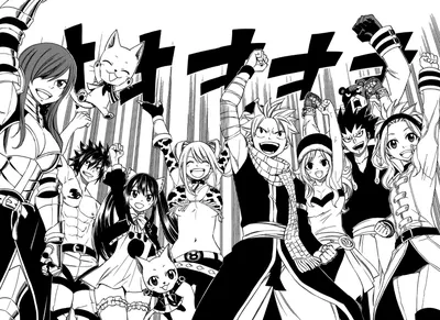 SouLAnimation | Fairy Tail GUILD FAMILY Limited Ed Art Piece