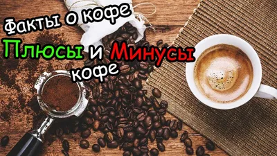 Кофе – интересные факты | Cokoloco