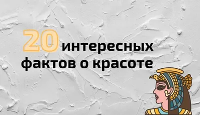 Неизветные факты о Южной Корее | Статьи Hotcourses Russian