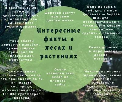 Пин от пользователя Famika на доске Факты о любви,девушек и парнях | Факты,  Вдохновляющие цитаты, Цитаты