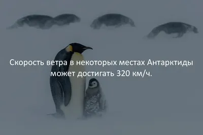 40 Фактов об Озёрах | Интересные факты | Дзен