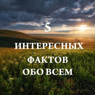 50 ИНТЕРЕСНЫХ ФАКТОВ, КОТОРЫХ ВЫ НЕ ЗНАЛИ. | Интересные факты | Дзен