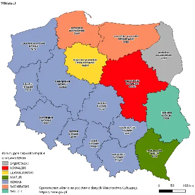 В России можно взять любую финскую фамилию – в Финляндии существующие  фамилии дублировать нельзя | Yle