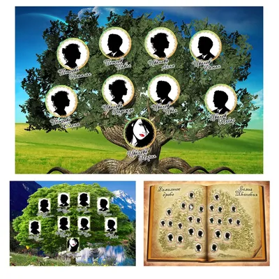 Генеалогическое дерево в Вологде на заказ – Папарацци