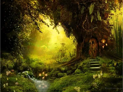 Фантастический лес картинки