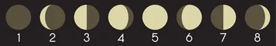 Фазы Луны - Как Видно Из Северного И Южного Полушарий Планеты Земля В  Сравнении. Клипарты, SVG, векторы, и Набор Иллюстраций Без Оплаты  Отчислений. Image 80629604