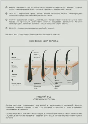 Вопросы про наращивание ресниц