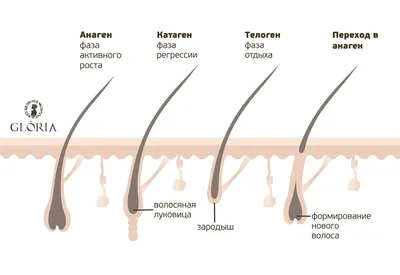 Сыворотка для роста ресниц и бровей Toplash Lash and Brow booster - купить  в Toplash Cosmetics Москва (со склада СберМегаМаркет), цена на Мегамаркет