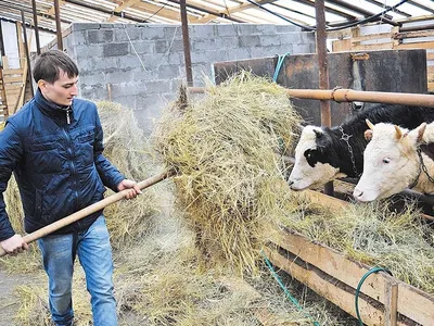 Сметана Залесский фермер Фермерская 20%, 300г - купить с доставкой в Москве  в Перекрёстке