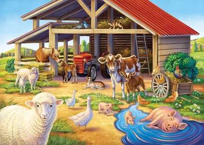 Фермы с животными 52 картинки
