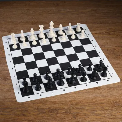 Шахматы в пакете, фигуры (пешка h-4.5 см, ферзь h-7.5 см), поле 50 х 50 см  / 1976165 - купить с доставкой по выгодным ценам в интернет-магазине OZON  (817042264)