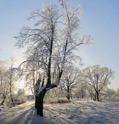 КОЛЬСКИЙ ПОЛУОСТРОВ 2024 ФЕВРАЛЬ. Фототуры и обучение пейзажной фотографии