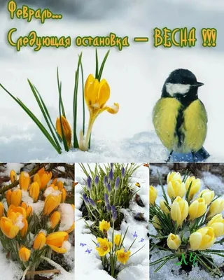 Пришел февраль, а значит скоро весна! - Музыкальная открытка с пожеланиями  для друзей! - YouTube