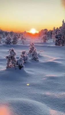 Февраль | Winter scenery, Beautiful photos of nature, Beautiful nature  scenes