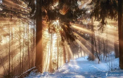 Зимнее 💗☃️💗 Утро доброе! Февраль! | Фотография юмор, Веселые картинки,  Смешные плакаты