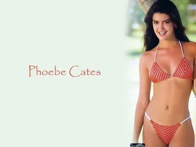 Фиби Кейтс картинки, изображения, фотографии и обои на /phoebe-cates-hd-pictues/ | Фиби ест, Фиби, Фиби ест быстро