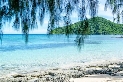 Фиджи: отдых на Фиджи, виза, туры, курорты, отели и отзывы