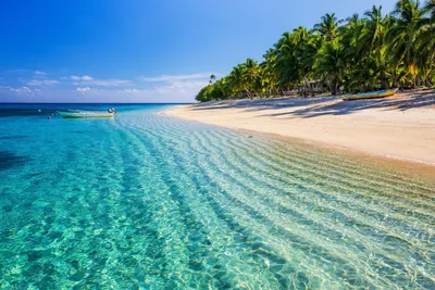 Новый проект расскажет миру о культурном наследии Фиджи | ShareAmerica