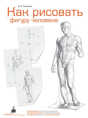 Книга Школа рисования. Фигура человека | AliExpress