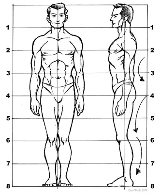 Учимся рисовать фигуру человека. Простые шаблоны. Построение и пошаговое  изображение головы и тела (Кристофер Харт) - купить книгу с доставкой в  интернет-магазине «Читай-город». ISBN: 978-5-04-113469-3