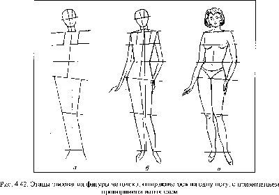 Фигура человека рисунок пропорции - 78 фото