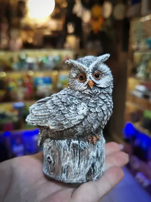 Филин (Bubo bubo)