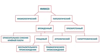 Фимоз у взрослых мужчин | Причины, лечение и профилактика | "НЕОМЕД",  Санкт-Петербург