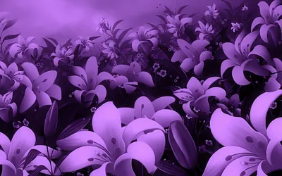 Красивые картинки фиолетового цвета - 82 фото