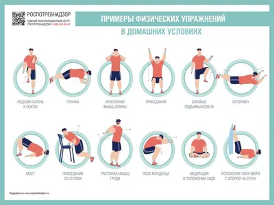 Влияние физических упражнений и спорта на развитие растущего организма |  Филиал ФБУЗ "Центр гигиены и эпидемиологии в городе Москве" в ЗАО г. Москвы