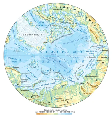Физическая карта Арктики - Части света - Каталог | Каталог векторных карт